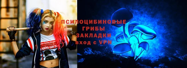 2c-b Вяземский