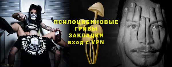 ешки Вязьма