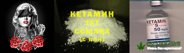 соль ск Горно-Алтайск