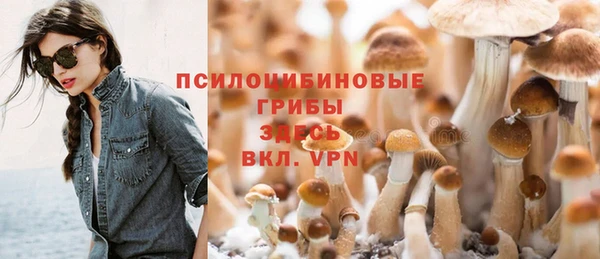 2c-b Вяземский
