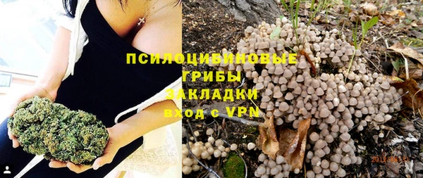 a pvp Горняк