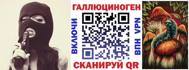 Галлюциногенные грибы Psilocybe  Стародуб 