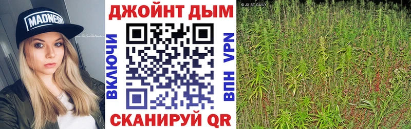 Конопля конопля  купить наркотик  Стародуб 